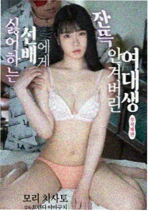 熊出没年货在线观看